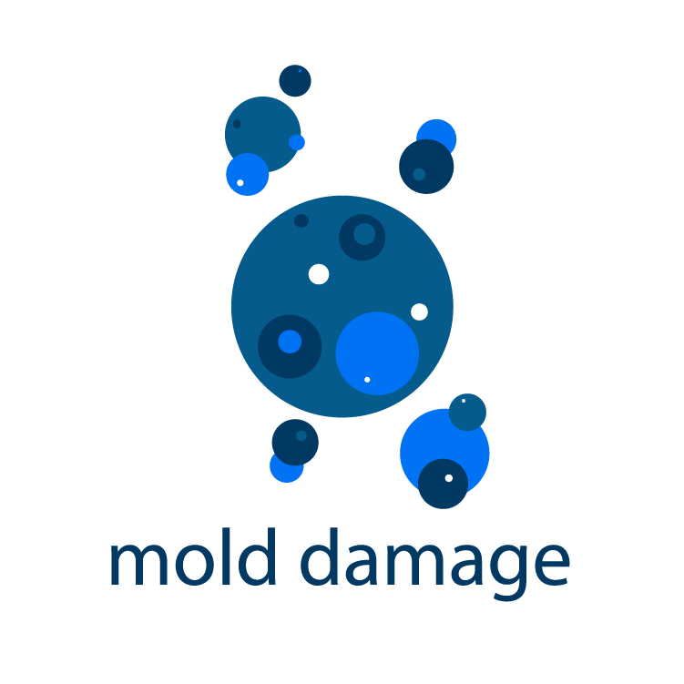 mold damage