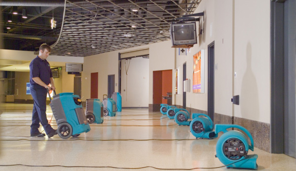 our services - commercial